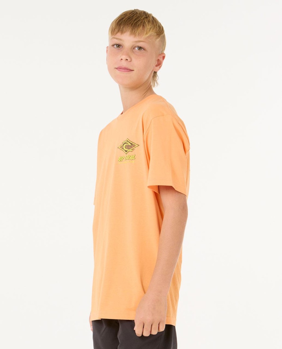raw energy dolphin tee-rapazes 8-16 anos