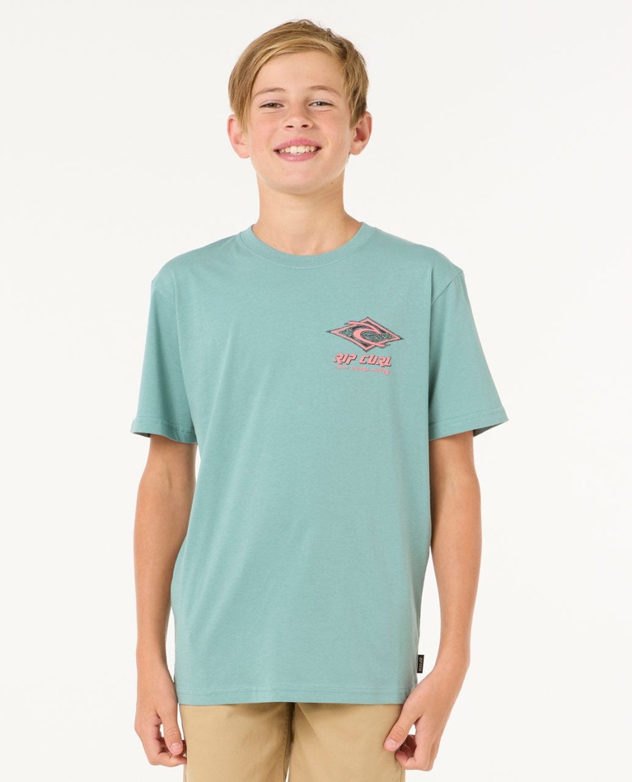 raw energy dolphin tee-rapazes 8-16 anos