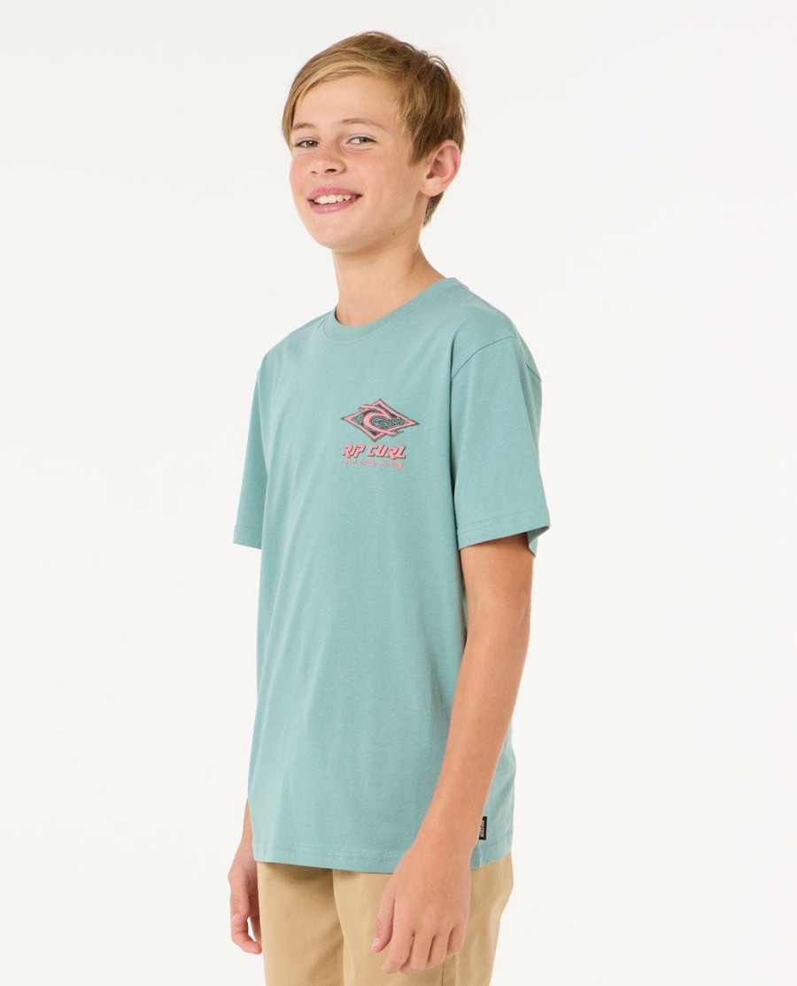 raw energy dolphin tee-rapazes 8-16 anos