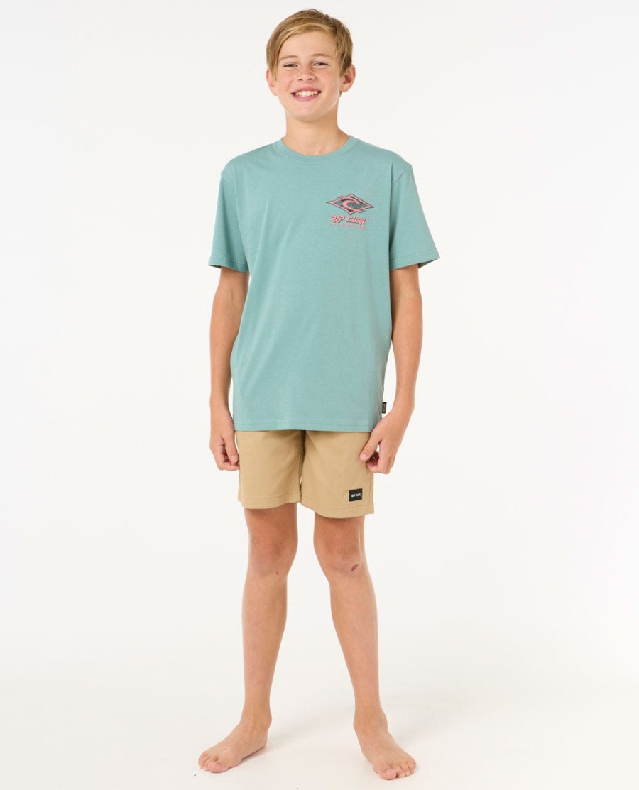 raw energy dolphin tee-rapazes 8-16 anos