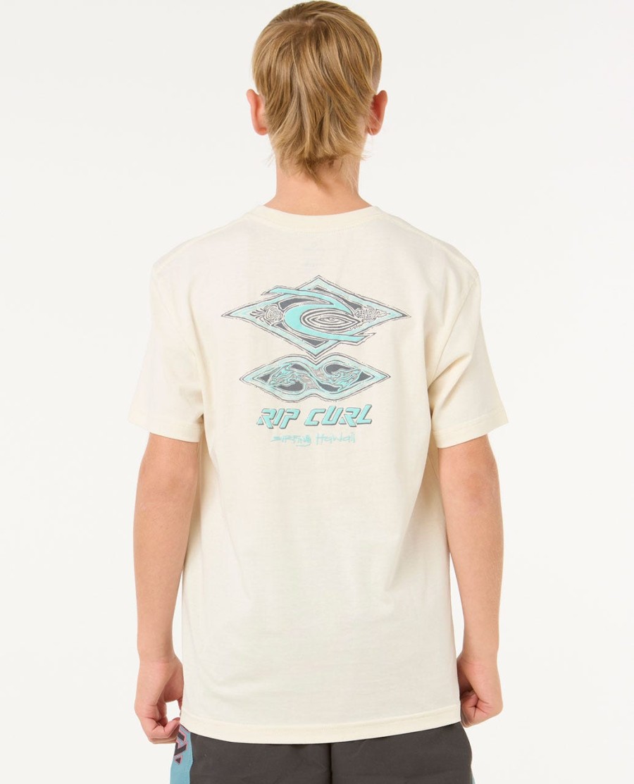 raw energy dolphin tee-rapazes 8-16 anos